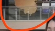 文安吃瓜网红事件视频,揭秘网络舆论背后的真相