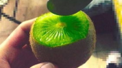 抖音热门吃瓜网红有哪些,揭秘网络红人的瓜田传奇