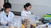 无锡教师最新吃瓜事件网红,网络热议背后的真相揭晓